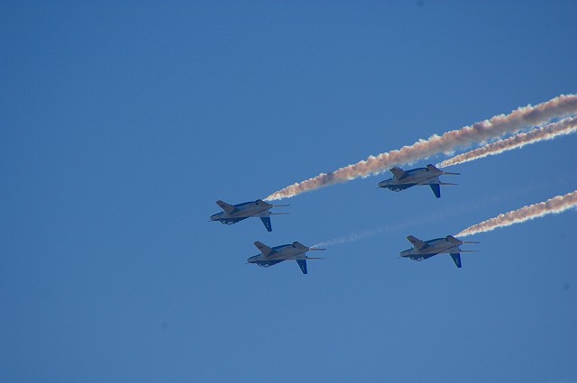 IMGP8150.jpg