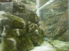 自分にうっとり・・・