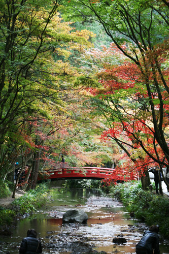 小国神社１.jpg