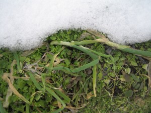 IMG_3847.JPG