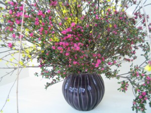 IMG_5832_1.JPG