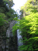 箕面滝1