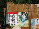 中之島祭落語