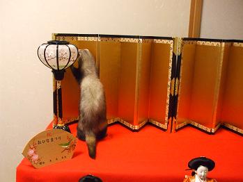お雛様6.jpg
