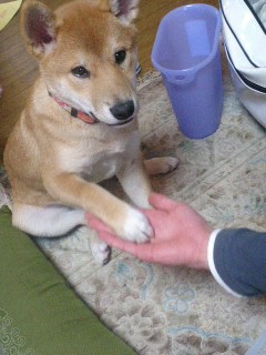 お手