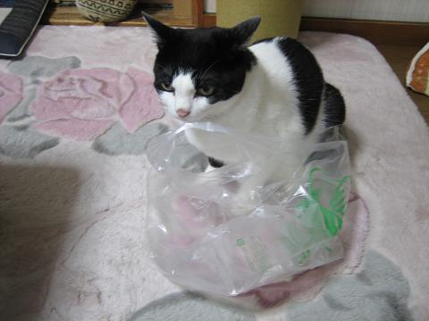 いや～、面白かった♪.JPG