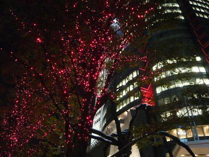 赤いイルミ.JPG