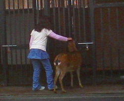 P1020025.jpg