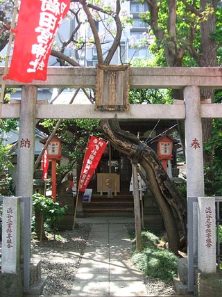 お岩稲荷田宮神社（oiwa）