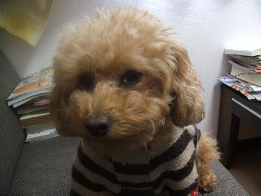 １２月４日 (4).JPG