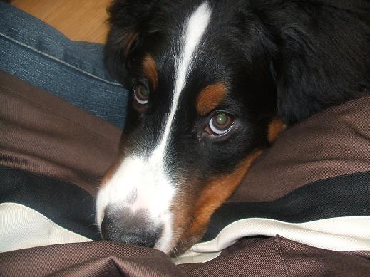 １２月６日1 (1).JPG