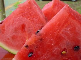 スイカ2.jpg