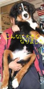 １１月２２日（7） (1).JPG