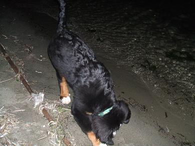 １１月２２日 (6).JPG