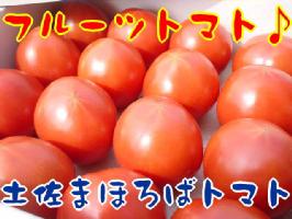 フルーツトマト.jpg