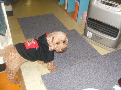 １２月１８日 (8).JPG