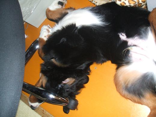 １２月１８日 (10).JPG