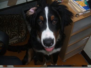 １２月１８日 (6).JPG