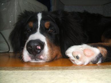 １２月１８日 (3).JPG