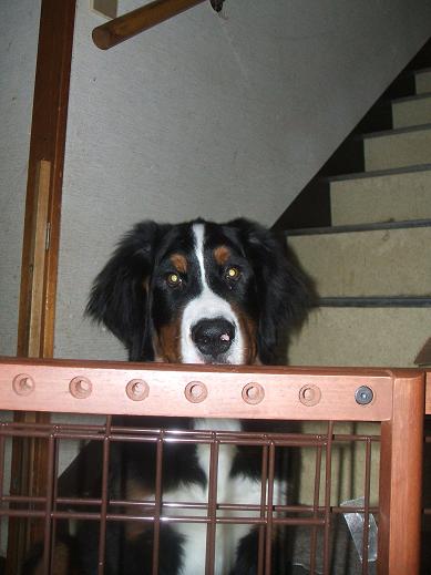 １２月１３日 (2).JPG