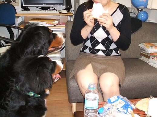 ちょうだい (1).JPG