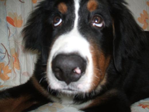 １１月２５日 (2).JPG