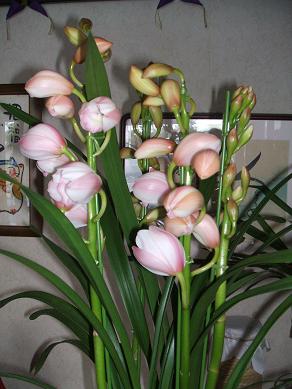 １１月25日 (1).JPG