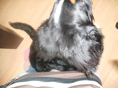 １２月４日 (1).JPG