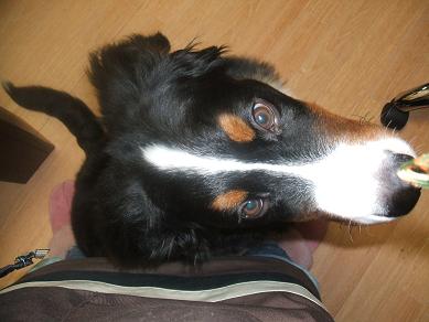 １２月４日 (2).JPG