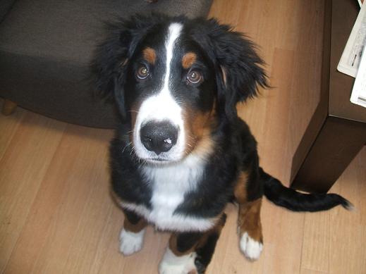 １２月４日 (3).JPG