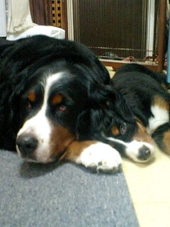 ねんね5  10-4.jpg