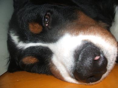 １２月２５日 (13).JPG