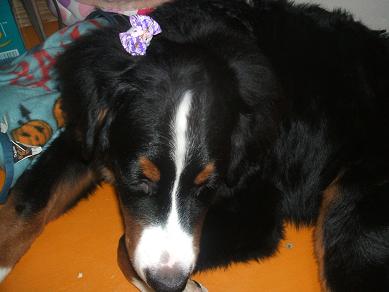 １２月２５日 (11).JPG