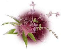 秋の花（素材）