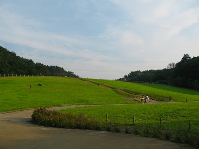 s-18.8.6.水の森公園_0043.jpg