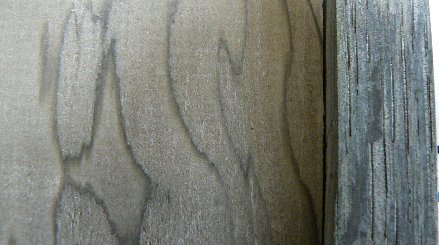 ワンド材060808-2.jpg