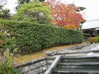 CIMG0182リサイズ.jpg