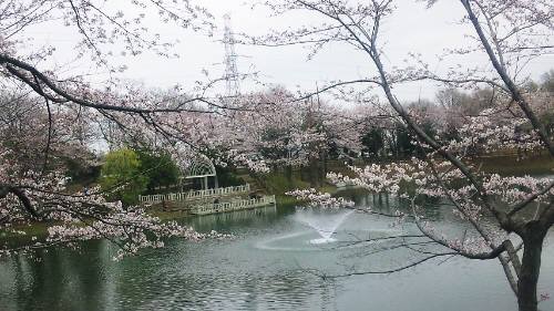 公園噴水.jpg