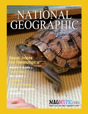 亀のノロちゃん＠National Geographic