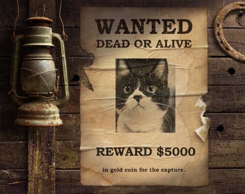 Wanted!