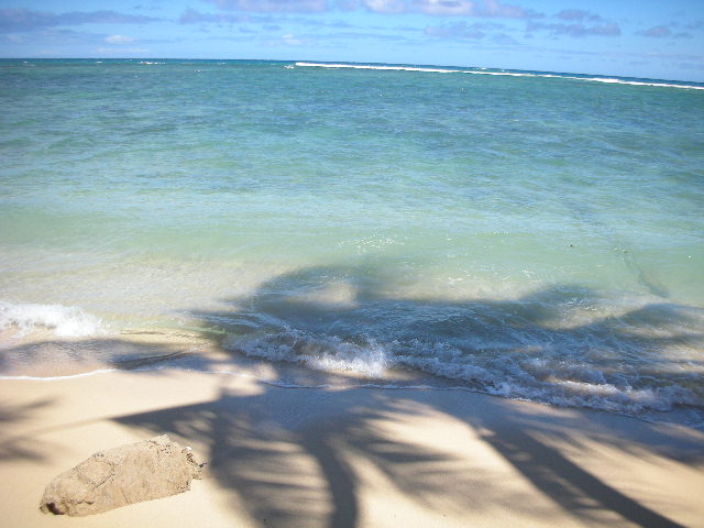 Hawaii2007 165.jpg