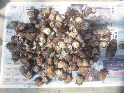 7月31日 潜りing 2.jpg