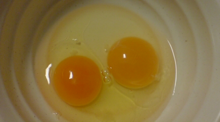 鳥骨鶏生たまご