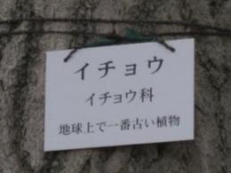 IMG_1558_resize1.jpg
