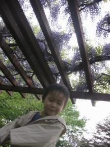 IMG_1430_resize1.jpg