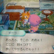 お・怒られた！