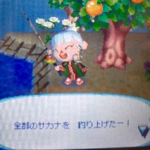 全部釣ったよ～