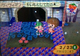 12日、雪が降っている♪