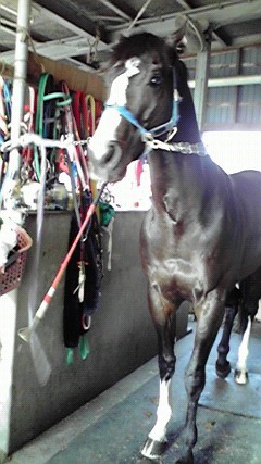 キングスゾーン