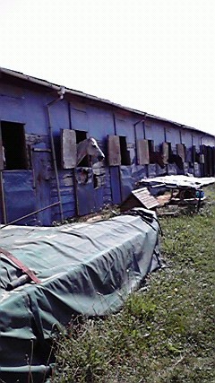 ベルホースファーム